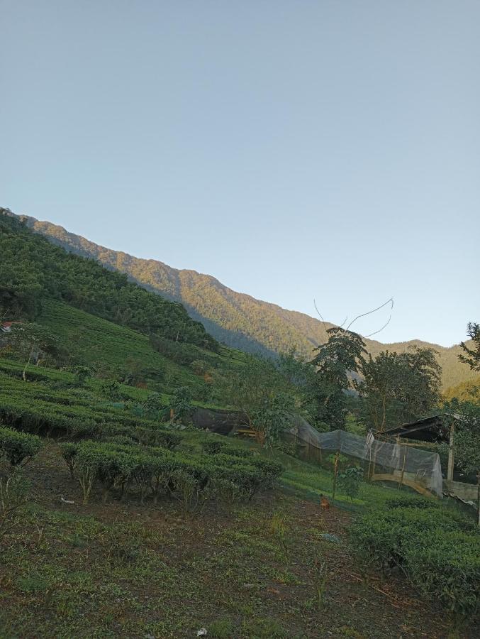 La Bang Homestay La Cam المظهر الخارجي الصورة